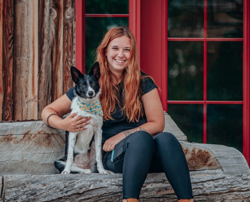 Animalière et border collie