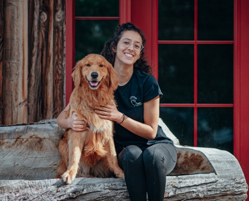 Animalière et golden retriever